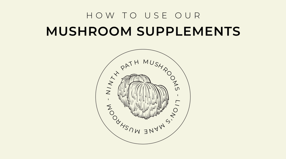 How to Use Our Ninth Path Mushroom Supplements