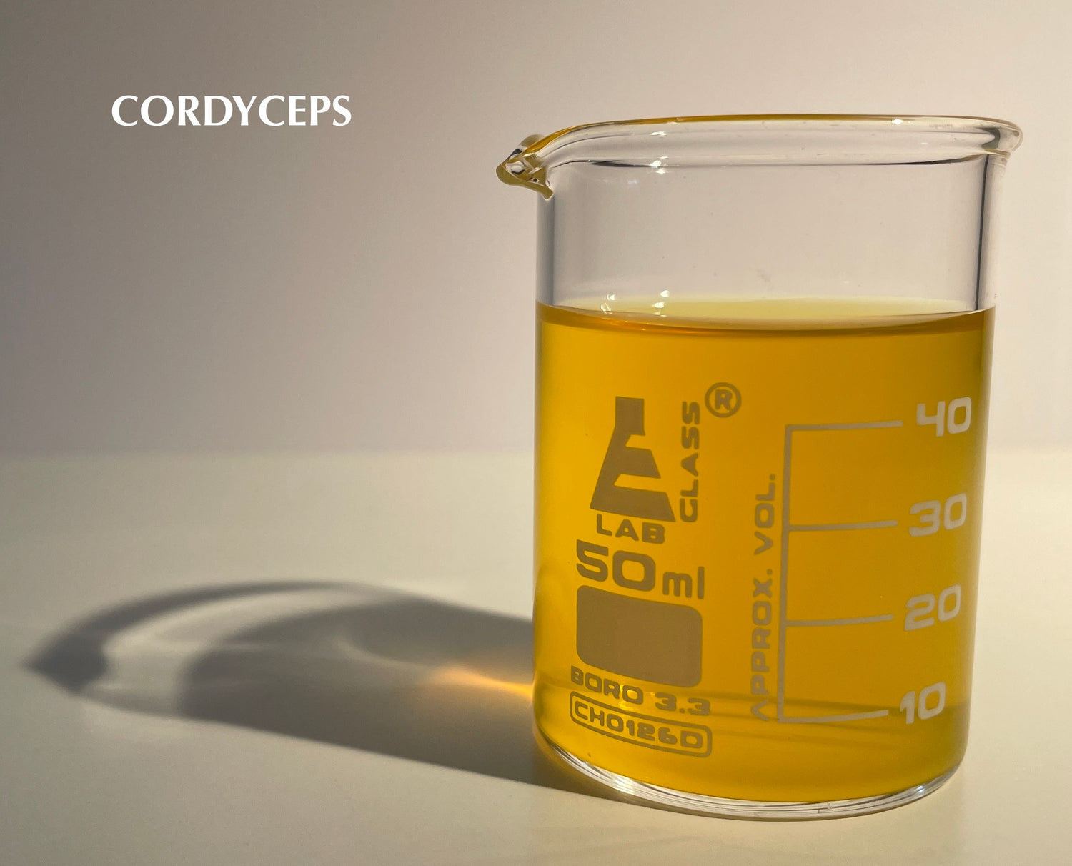 Cordyceps mushroom liquid extract